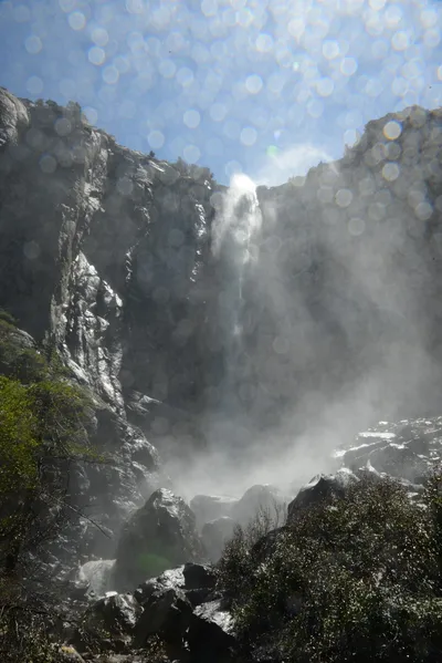 DSC_2315 (Large).JPG